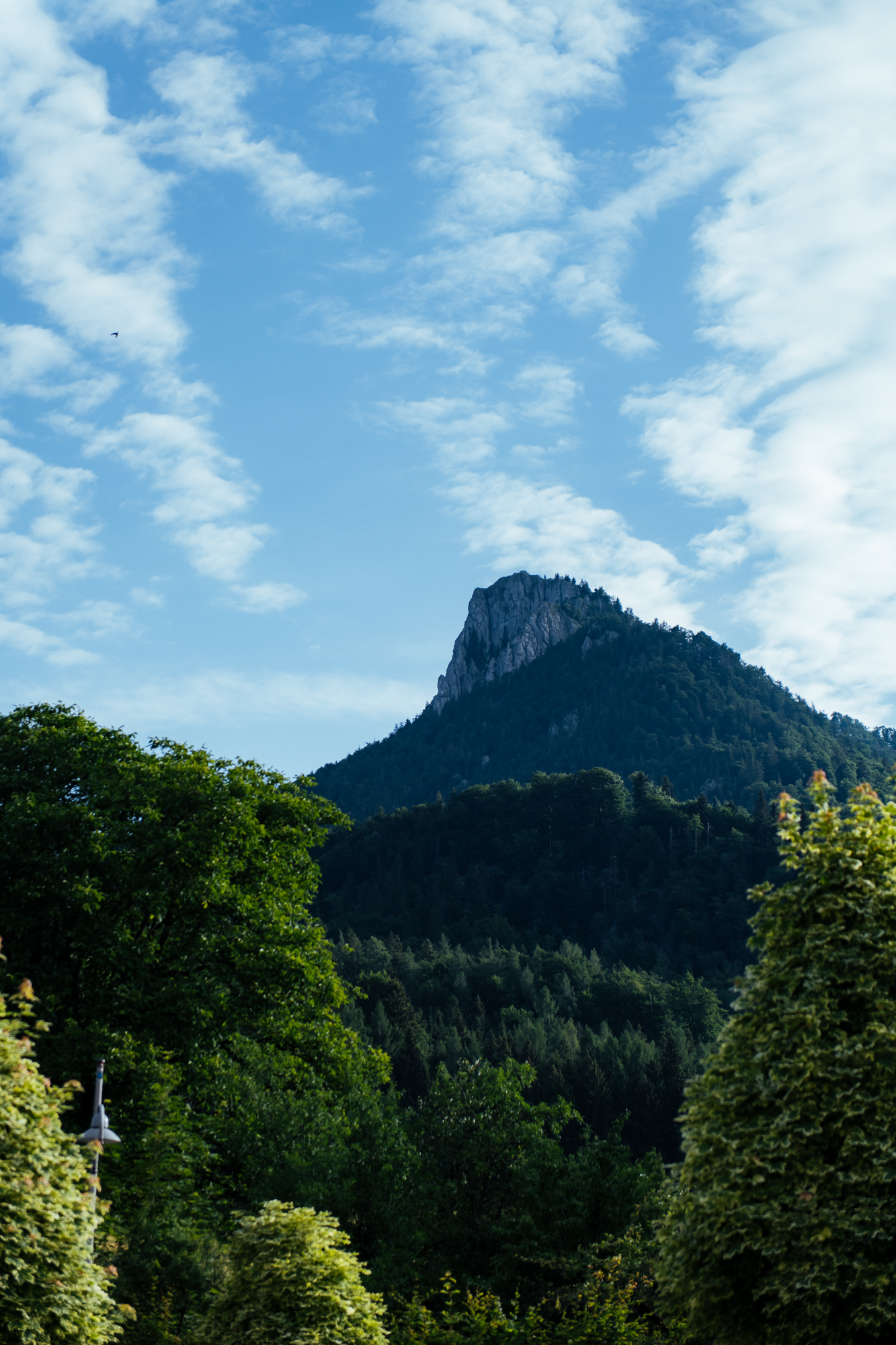 Limestone peak rising above the Mozart 100 course in the Salzkammergut