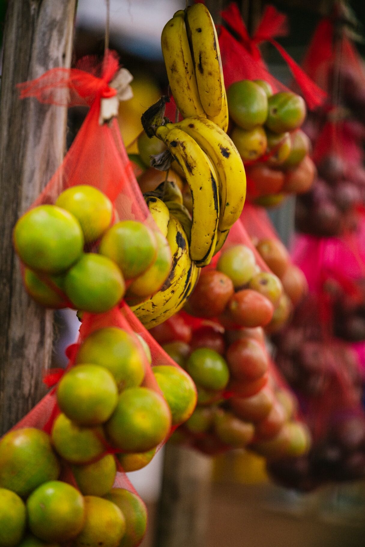 Bananas, oranges and tomatoes hanging in red mesh bags at a Kenyan market
